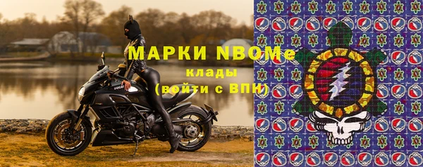 стафф Кодинск