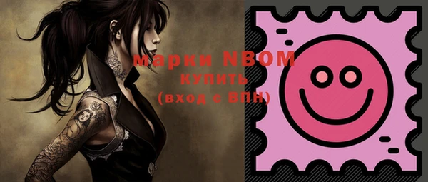 стафф Кодинск