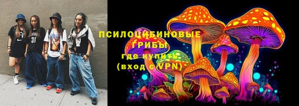 стафф Кодинск