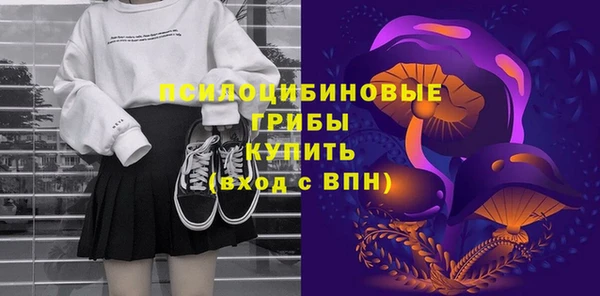 стафф Кодинск