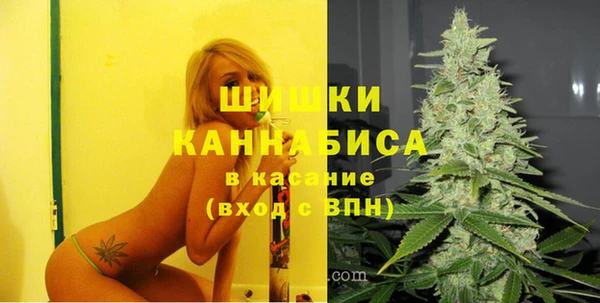стафф Кодинск
