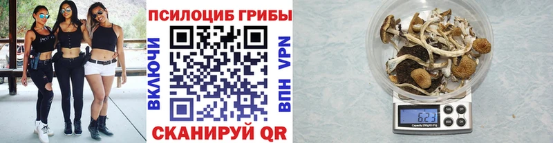 Псилоцибиновые грибы MAGIC MUSHROOMS  дарк нет состав  Элиста 